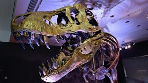 US-SCIENCE-SPACE-ASTRONOMY-DINOSAURS