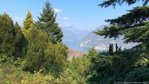 Auf einer Wanderung nach Morcote kann man die Natur rund um den Luganersee genießen