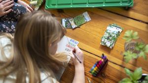Bei dem Projekt können Kinder viel über Pflanzen lernen