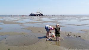Texel ist eine wunderbare Insel für Familienurlaub mit Kindern