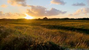 Auf Texel werden die kleinen Urlaubsträume wahr: Dünenlandschaft bei De Koog