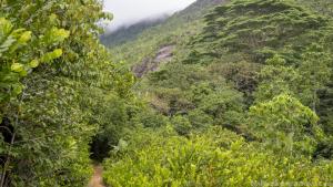 Mehr als tauchen: Reisende können die Seychellen auch über Wandertrails erkunden