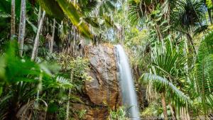Die Seychellen begeistern Reisende mit üppiger, tropischer Natur