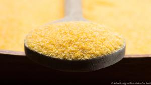Polenta wird aus getrocknetem Mais hergestellt