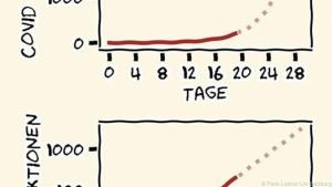 Neben klassisch linear-skalierten Grafiken setzten Experten auf logarithmisch-skalierte (unten)