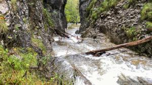 Einst wurde Holz abgebaut - und über die Wasserwege durch enge Schluchten befördert