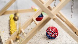 Die Voliere sollte über Sitzgelegenheiten, Fressplätze und Spielzeuge verfügen
