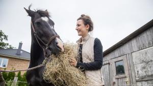 Ein 600-Kilo-Sportpferd benötigt zwischen 9 bis 12 Kilo hochwertiges Heu am Tag