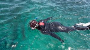 An der Nordwestküste Formenteras schnorchelt man über Neptungraswiesen