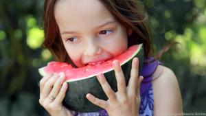 Melonen sind wegen ihres hohen Wassergehalts super Durstlöscher