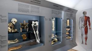 Die Sammlung umfasst rund 14.000 Objekte
