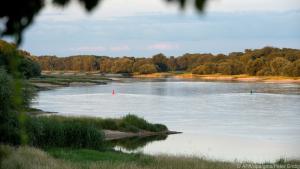 Bei Brambach fließt die Elbe gemächlich dahin - fast schon melancholisch