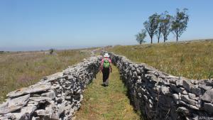 Wandern durch ein Labyrinth aus Natursteinmauern