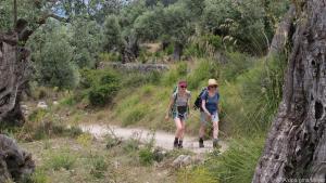 Gemeinsam unterwegs auf dem Wanderweg GR 221