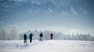 Langlauf ist vergleichsweise ungefährlich