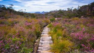Diese Küstenwildnis lockt Outdoor-Freunde: Der Freycinet Experience Walk
