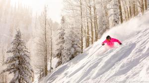 In Aspen finden Wintersportler hervorragenden Pulverschnee