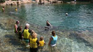 Das Discovery Cove und die anderen Seaworld-Themenparks in Orlando sind wieder geöffnet