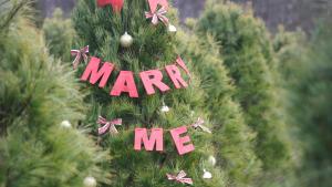 Romantic idea for einen Heiratsantrag zu Weihnachten.