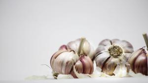 Knoblauch-Knollen auf weißem Hintergrund
