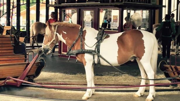 Seit 2016 ist das Pony-Karussell im Wien Prater schlossen.