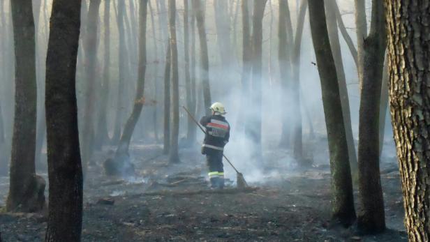 Waldbrand in Südafrika forderte sechs Todesopfer