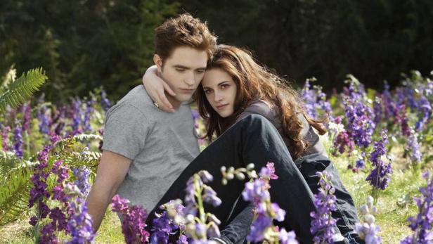 So reagieren Twitter-UserInnen auf das neue "Twilight"-Buch