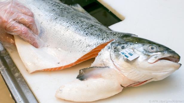 Lachs mit Bio-Siegel ist Experten zufolge eine gute Wahl