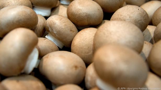 Champignons sind empfindlich und nehmen leicht fremde Gerüche an