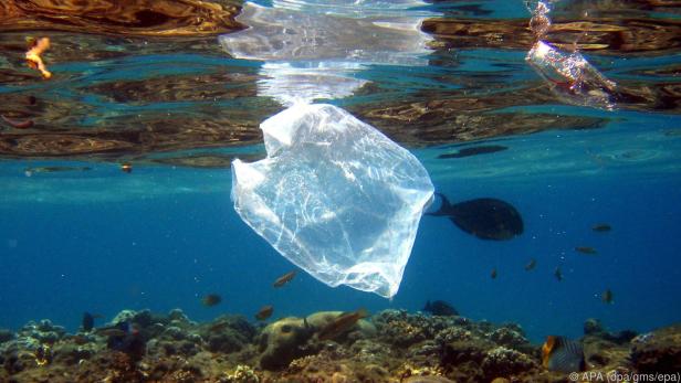 Plastik im Meer - das Verpackungsmaterial verrottet nicht