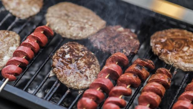 Warum Grillfleisch nichts für Hunde ist