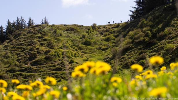 Der Wanderweg führt elf Kilometer entlang der dänischen Nordseeküste