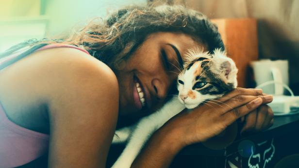 Die Wissenschaft bestätigt: Katzen sind gut für die Gesundheit