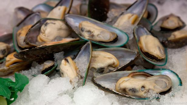 Miesmuscheln sind inzwischen auch im Sommer zu genießen