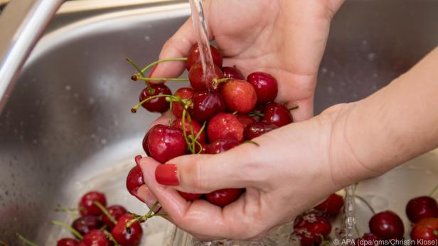 Kirschen sollten vor dem Essen gründlich gewaschen werden