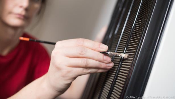 Das Lüftungsgitter an der Rückseite sollte regelmäßig von Staub befreit werden