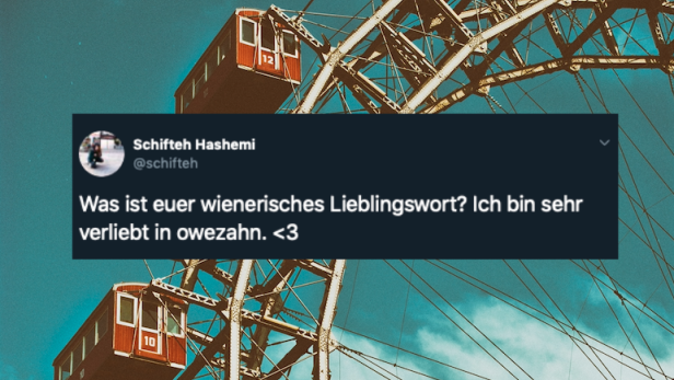 Twitter-UserInnen sammeln ihre liebsten wienerischen Wörter