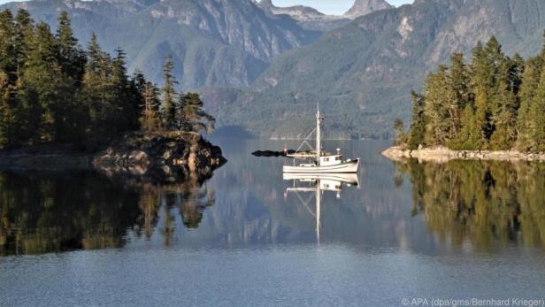 Wer Abgeschiedenheit liebt, ist am Desolation Sound richtig