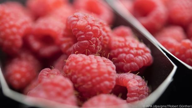 Frische Beeren sollte man waschen, bevor man sie isst