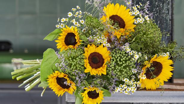 Sonnenblumen passen gut zu zarten Kamilleblüten und Wiesensträuchern