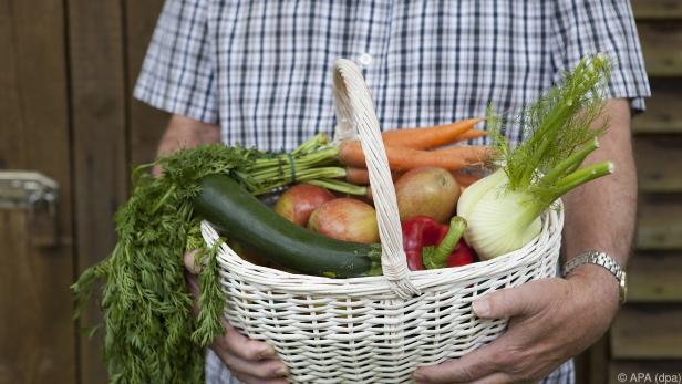 Bedarf an Eiweiß, Vitaminen und Mineralstoffen bleibt unverändert