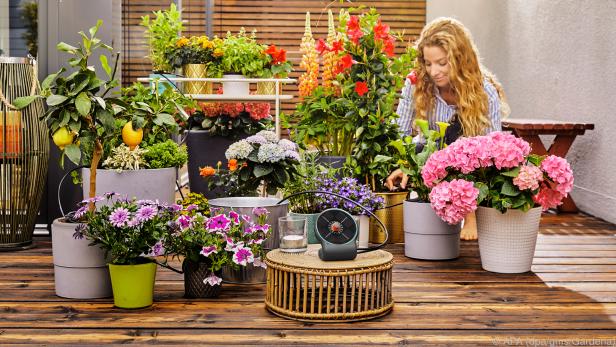 Das AquaBloom Set von Gardena kommt auch ohne Steckdose und Wasserhahn aus