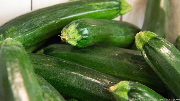 Zucchini sind in der Küche vielseitig verwendbar