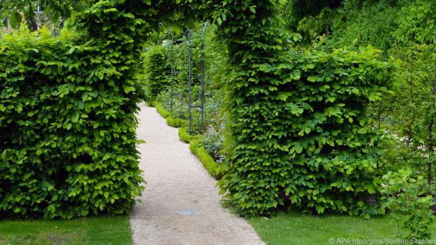 Schlossgärten und Parks können Vorbild auch für den heimischen Garten sein