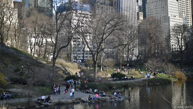 Der Central Park ist eine Hauptattraktionen von New York