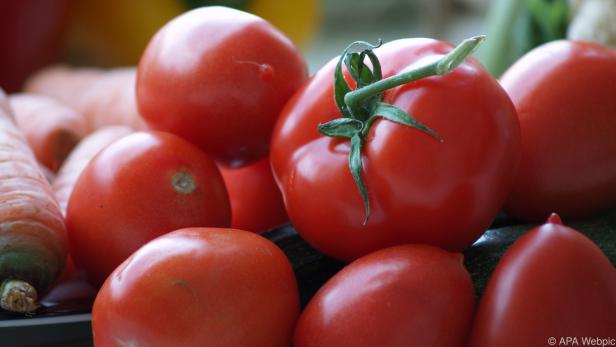 Tomaten sollte man nur in reifem Zustand essen