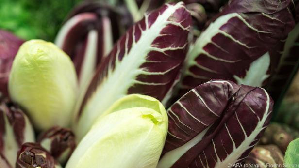 Radicchio ist gesund, unter anderem weil er die Verdauung anregt