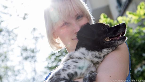 Bei Porträts sorgen von hinten scheinende Sonnenstrahlen für eine Lichtkante