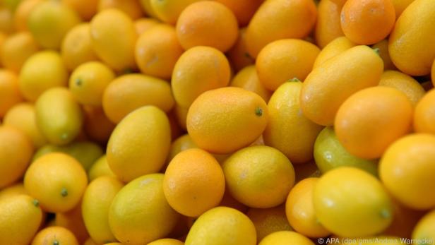 Kumquats sind höchstens vier Zentimeter groß und liefern viel Vitamin C