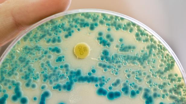 Antibiotikaresistente Bakterien wurden landesweit gefunden